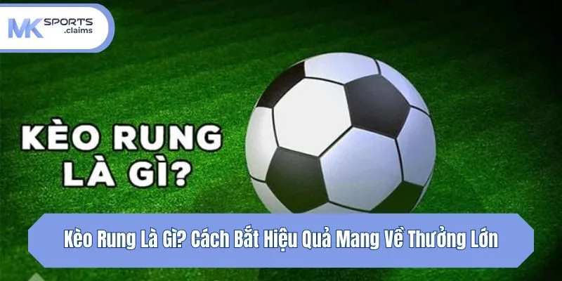 Kèo Rung Là Gì? Cách Bắt Hiệu Quả Mang Về Thưởng Lớn